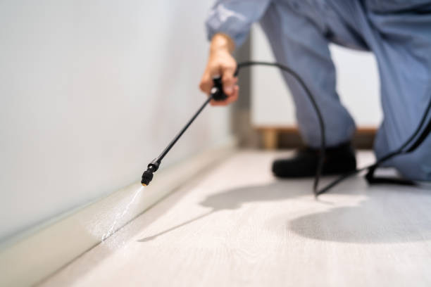 Licensed Pest Control service in Alhambra, CA - Show Me Pest Control
