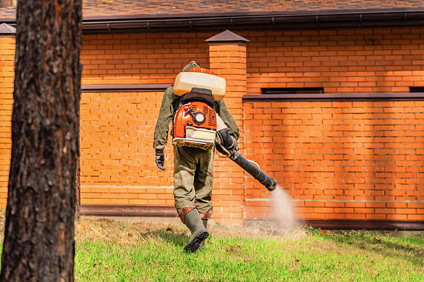 Bed Bug Clearance Verification and Documentation in Alhambra